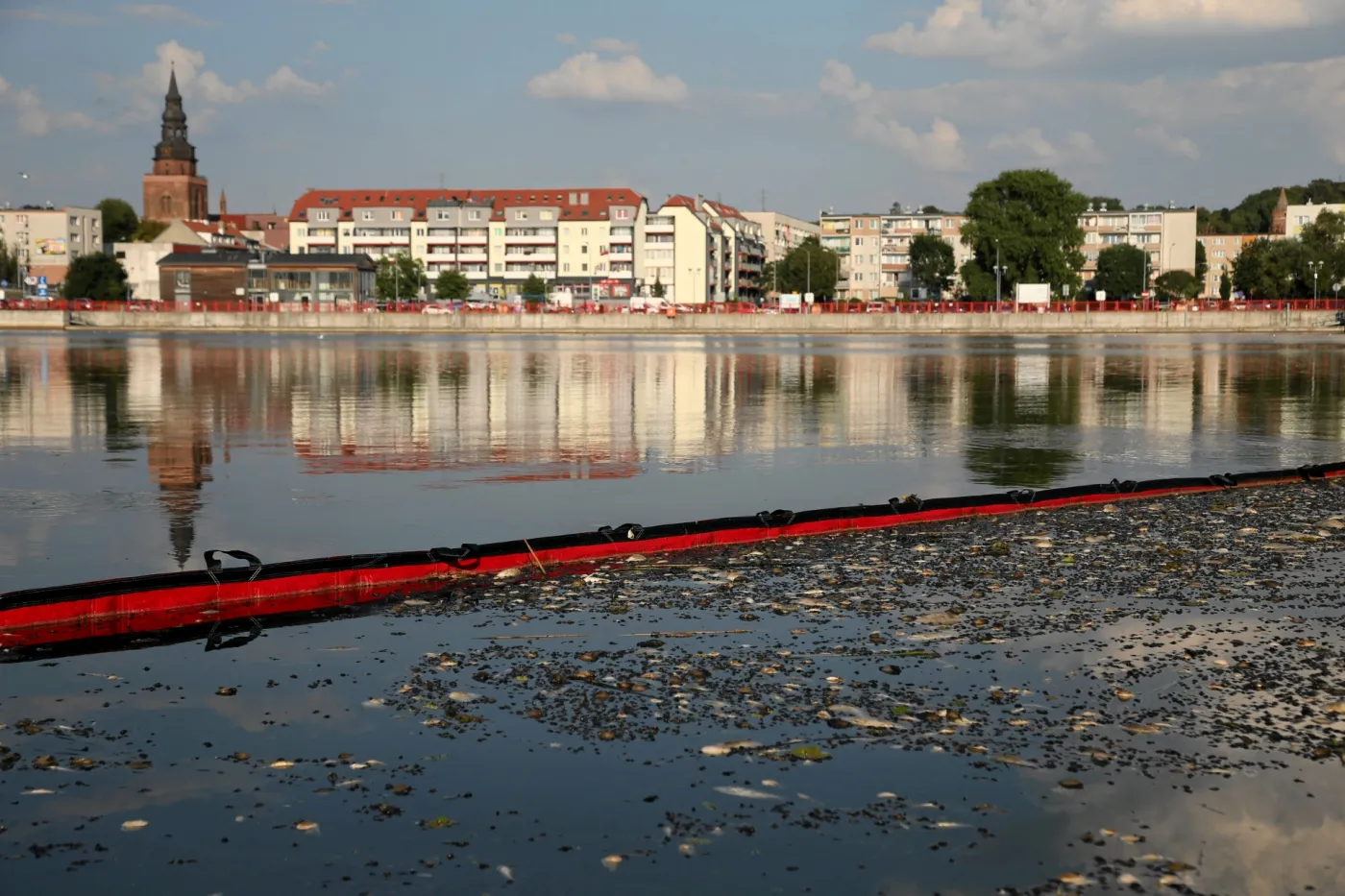 Semeniuk: Pomoc z tarczy dla firm nad Odrą będzie zależna od poziomu spadków przychodów