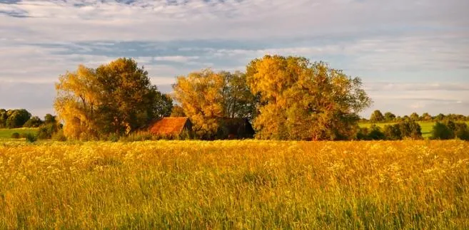 Kredyt na zakup działki - sprawdź, gdzie najtaniej