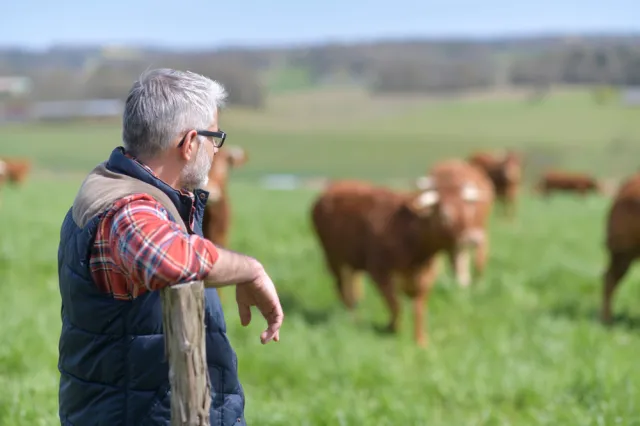 Rolnicy mają blisko 680 mld zł długu. Ogromny wzrost od początku pandemii