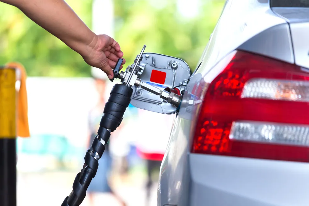 Nowy obowiązek dla polskich kierowców. Kto musi mieć specjalne naklejki?