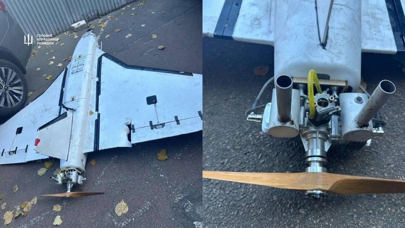 Gebera drone, dron Gerbera
