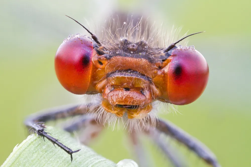 Oto ludzie w firmie, na których trzeba uważać