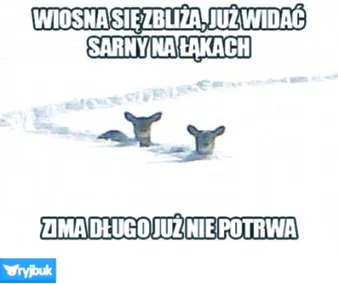 1267580-i02-2013-061-00000030c-805.jpg