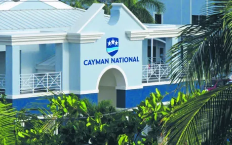 Raje podatkowe: 700 polskich wątków do zidentyfikowania i wyjaśnienia