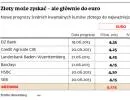 Złoty może zyskać - ale głównie do euro