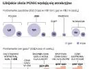 PGNiG znalazł gaz w Libii, ale chce się wycofać z Afryki Północnej