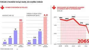 Rynek e-booków w Polsce rośnie szybko. Ale mógłby szybciej