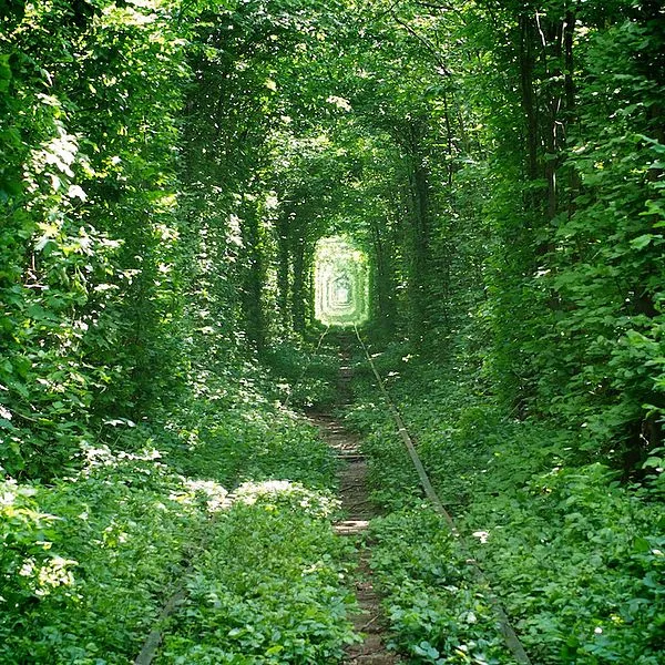 1643692-tunel-milosci-autor-isavoch.jpg