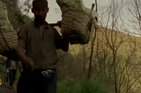 Śmierć człowieka pracy (2005)