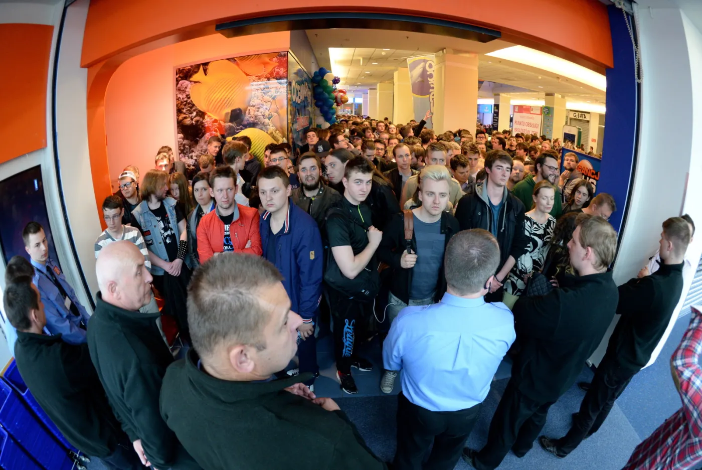 2184301-ruszyla-sprzedaz-gry-wiedzmin.jpg