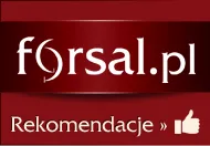 Najlepsze teksty Forsala. Zobacz, czym żył świat w listopadzie