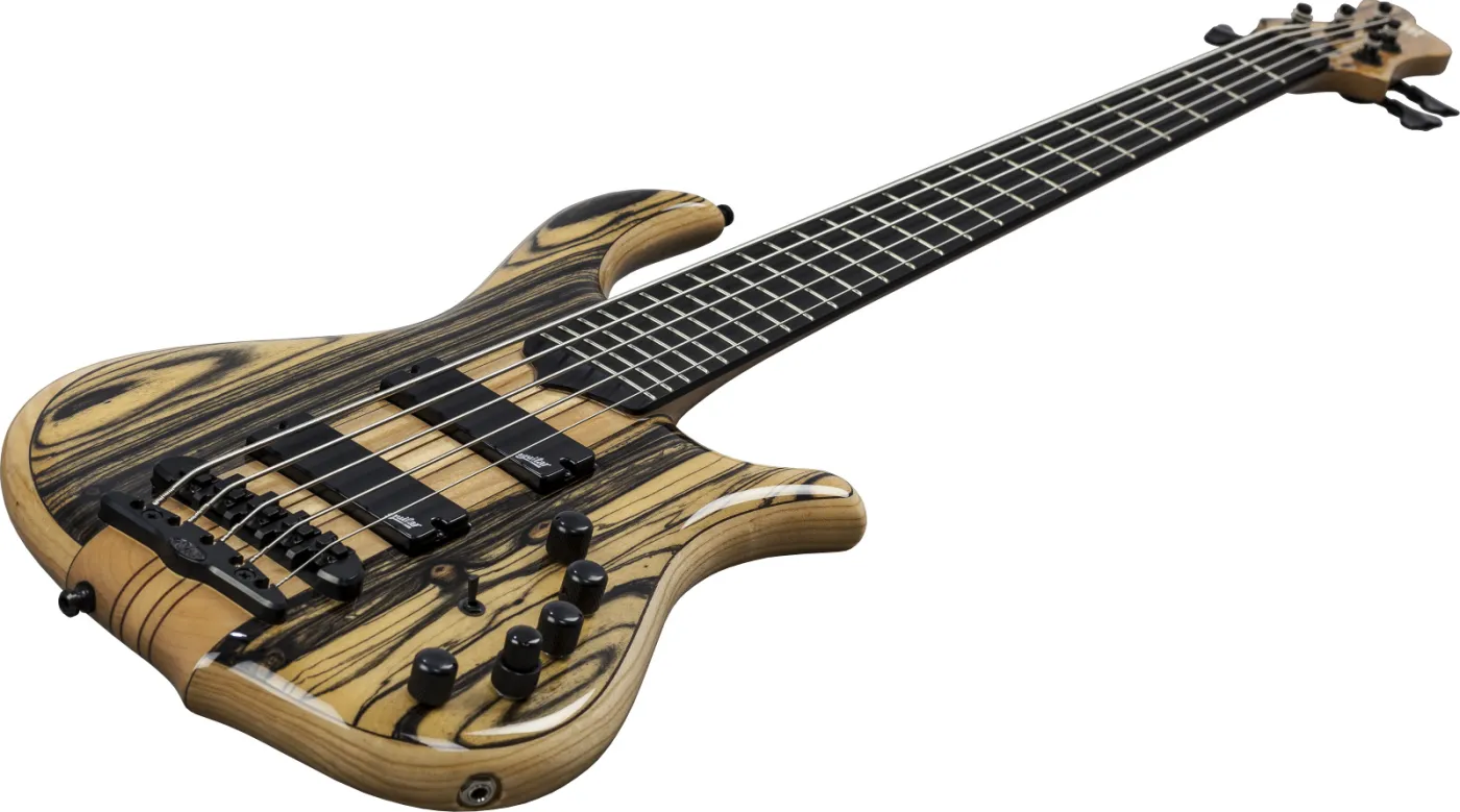 Gitara Mayones Guitars & Basses