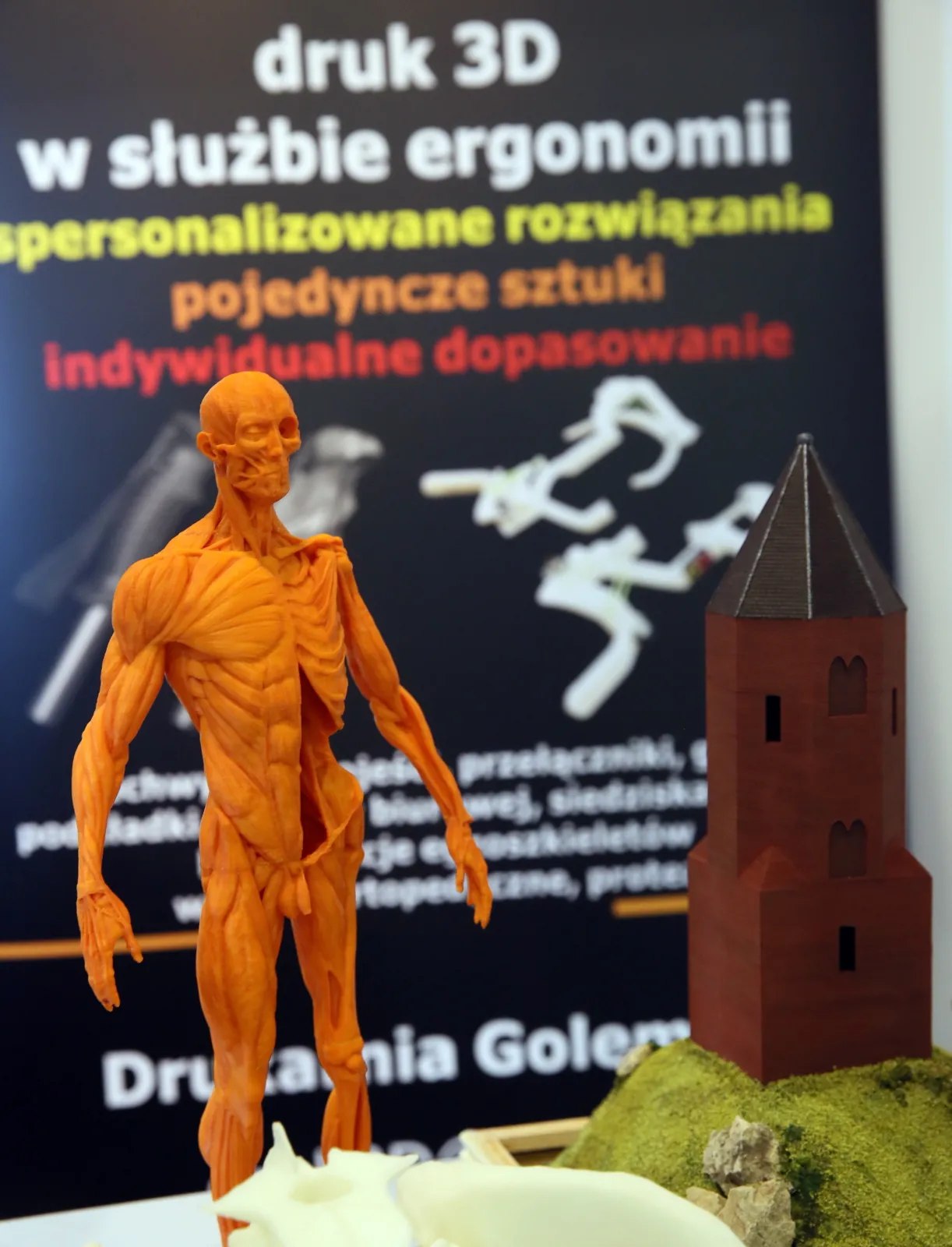 2678146-dni-druku-3d-w-warszawie-cat.jpg