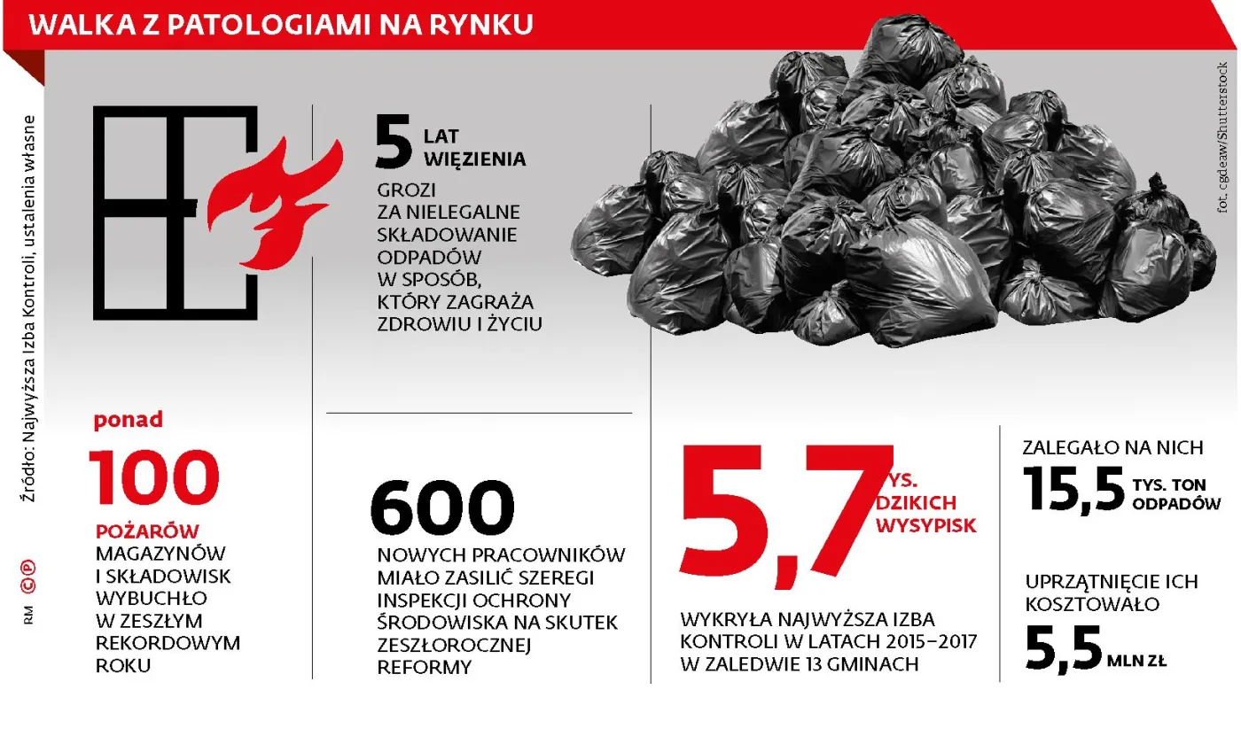 Ekopolicja zwiera szyki przeciw mafii śmieciowej. Służby wykrywają coraz więcej dzikich wysypisk