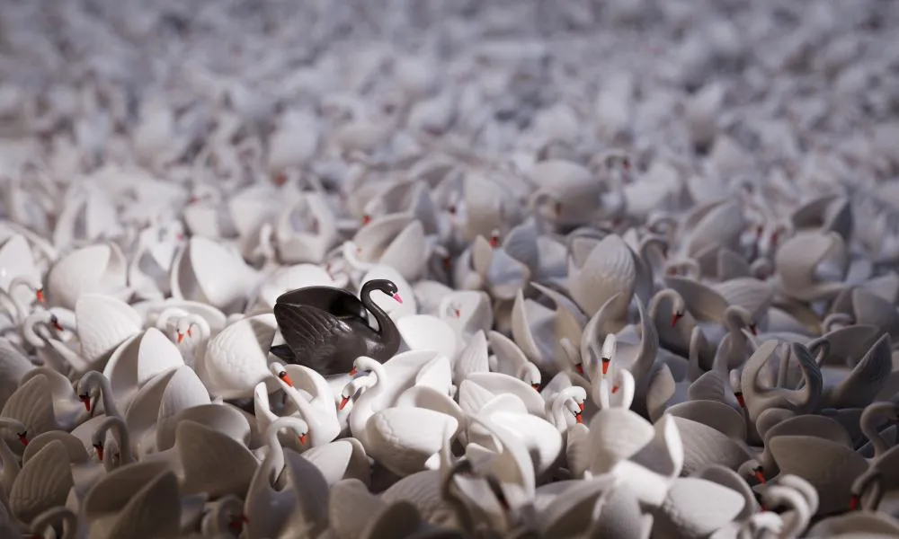 Czarny łabędź właśnie wylądował, nikt nie był na to przygotowany [WYWIAD]