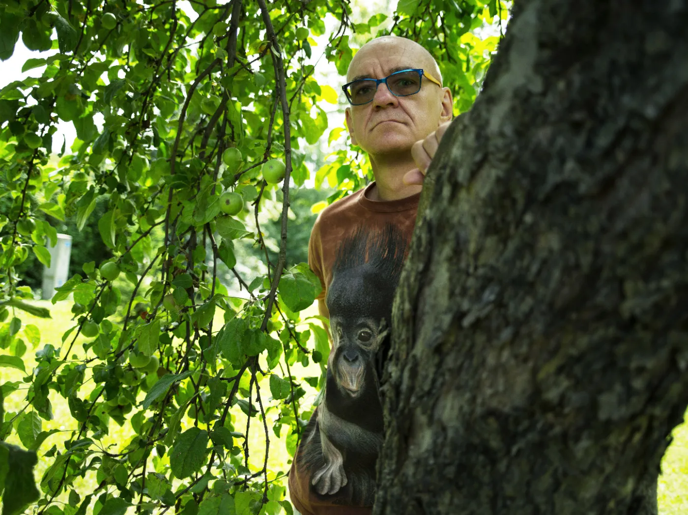 Rosiak: Chiny "kolonizują" Afrykę po swojemu. Mają w d... prawa człowieka