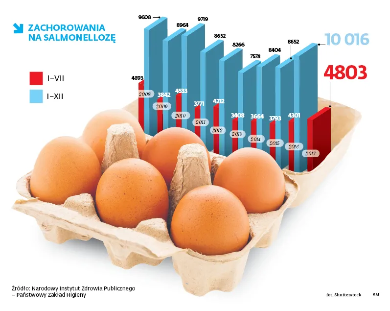 Salmonella groźna dla polskich jaj. Najwięcej zakażeń od dekady?