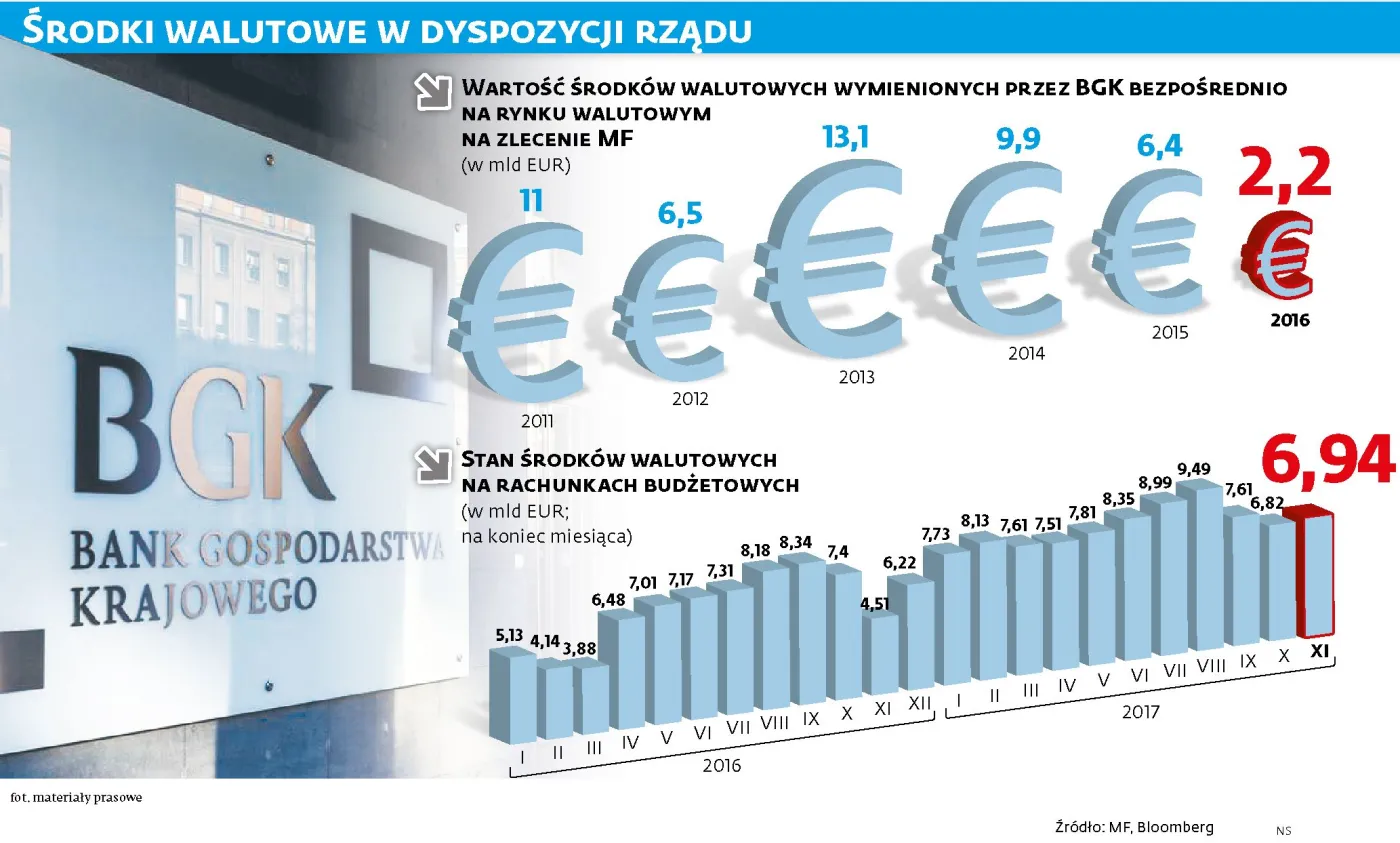 Środki walutowe do dyspozycji rządu