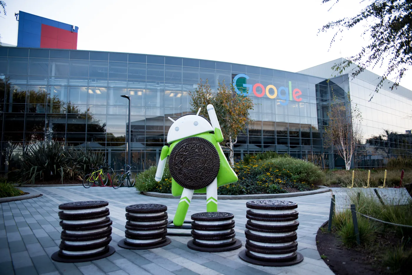 Chcesz pracować w Google, Apple albo IBM? Już nie musisz mieć skończonych studiów
