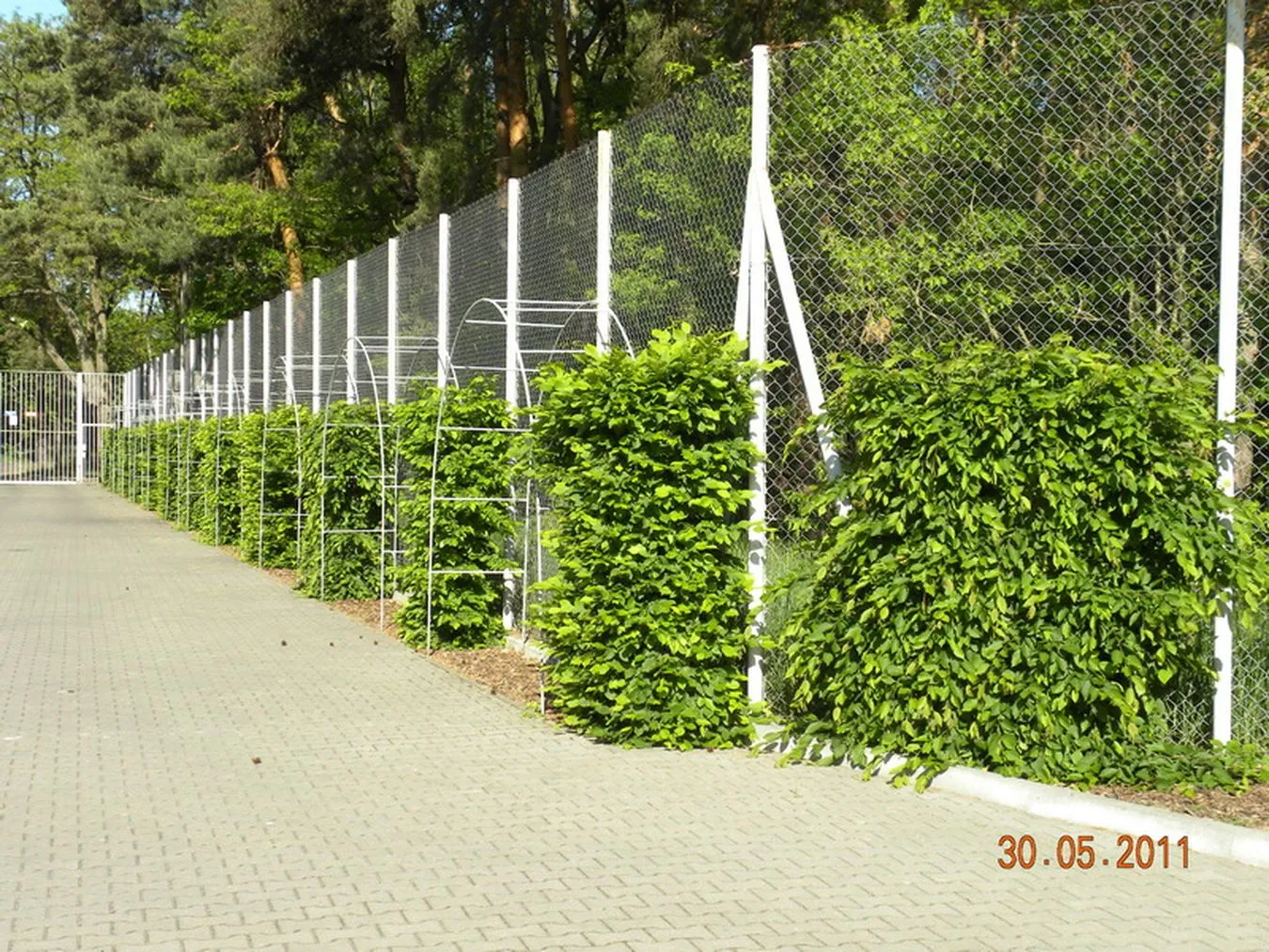 Trwa wybór lokalizacji ośrodka tymczasowego dla pacjentów placówki w Gostyninie