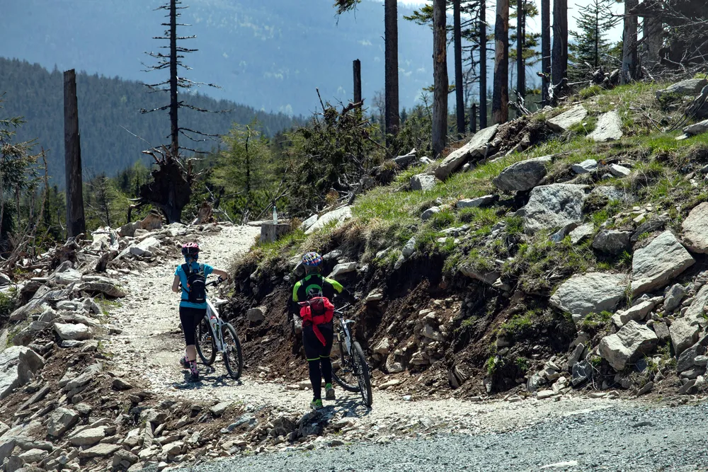 Singletrack Glacensis