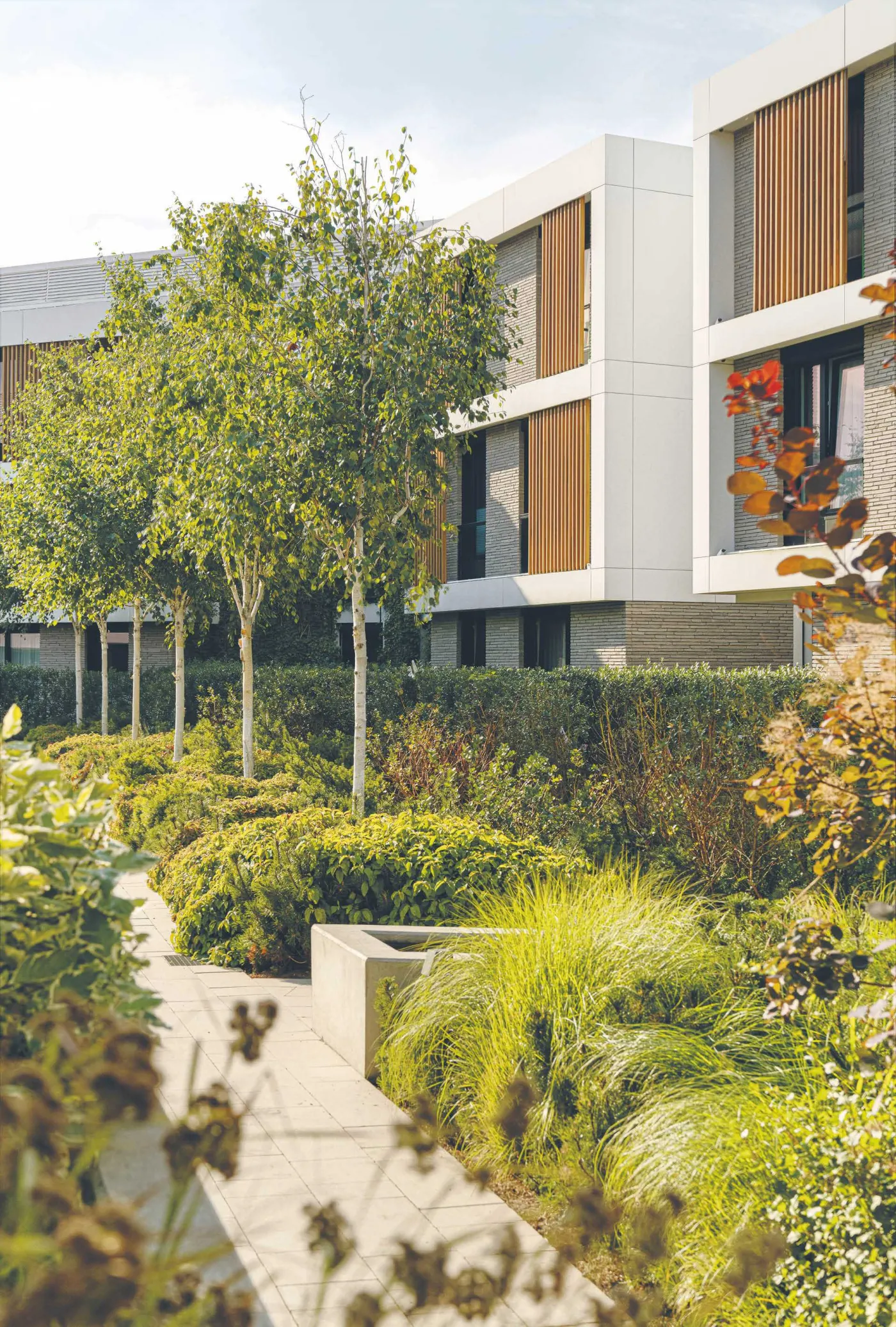 Osiedle Botanica, Invest Komfort