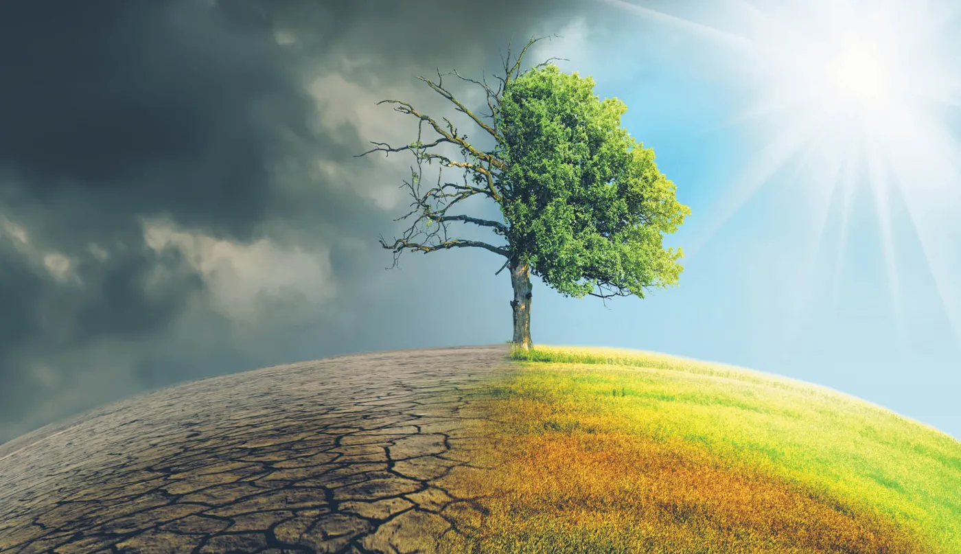 Stan wyższej klimatycznej konieczności