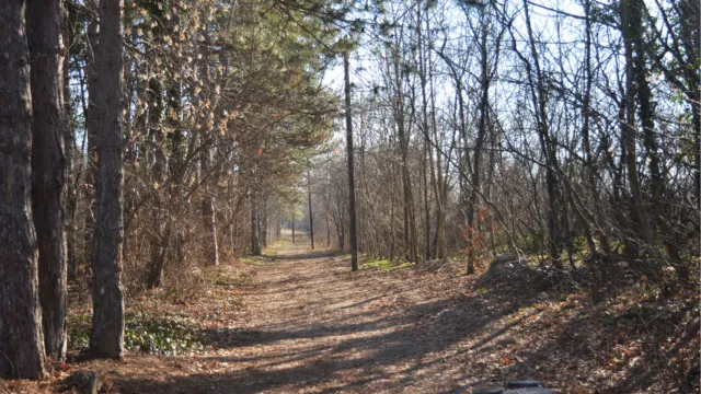 Czy część koalicji chce utrudnić tworzenie rezerwatów przyrody? Ekolodzy alarmują, wiceminister krytykuje