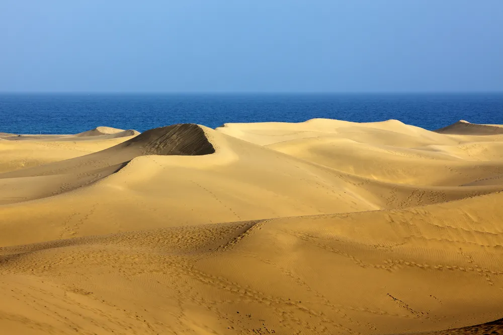 955286-wydmy-maspalomas-na-gran-canarii.jpg