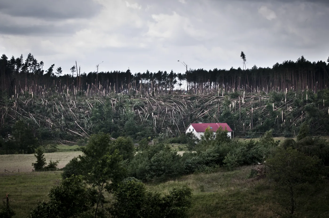 1260919-przyroda-fotoreportaz-1-miejsce.jpg