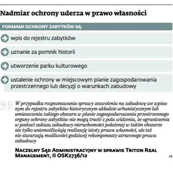 1658088-nadmiar-ochrony-uderza-w-prawo.jpg