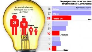 1686240-najwieksi-gracze-na-polskim-rynku.jpg