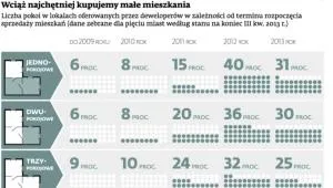 1686020-wciaz-najchetniej-kupujemy-male.jpg