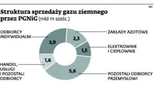 1796853-struktura-sprzedazy-gazu-ziemnego.jpg