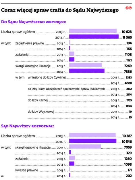 2192947-coraz-wiecej-spraw-trafia-do-sadu.jpg
