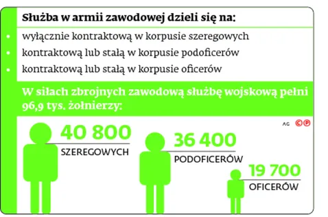 2260627-sluzba-w-armii-zawodowej-dzieli.jpg