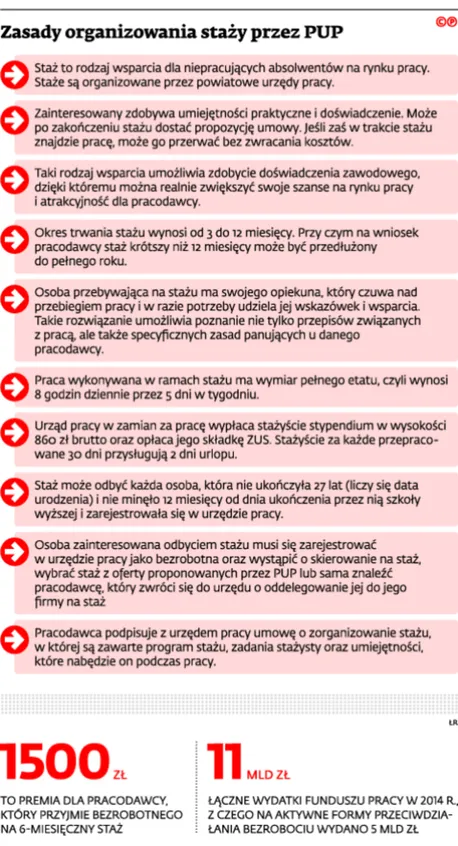2288934-zasady-organizowania-stazy-przez.jpg