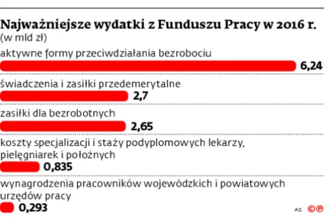 2332917-najwazniejsze-wydatki-z-funduszu.jpg
