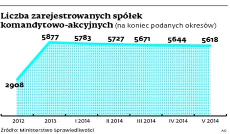 Fiskus przemyślał optymalizację SKA