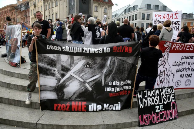 Warszawa: Protest przeciw ubojowi i wywozowi polskich koni na rzeź