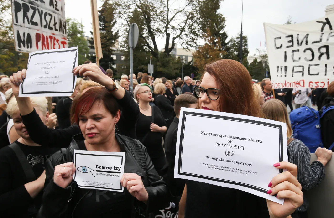 2679895-manifestacja-zorganizowana-przez.jpg