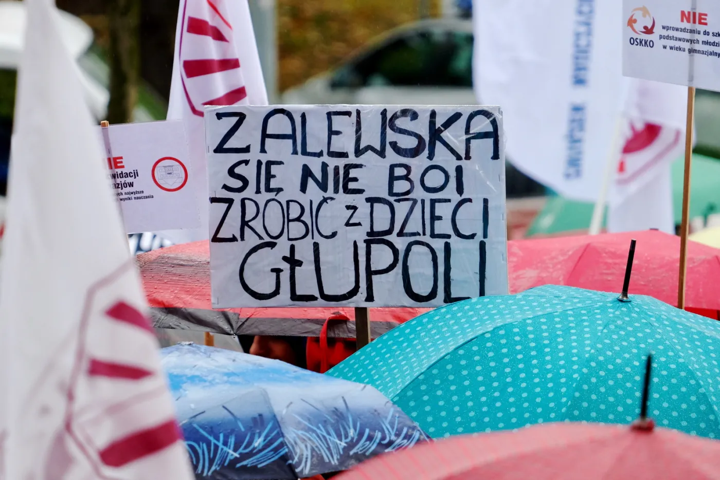 2689482-protest-znp-przeciwko-reformie.jpg