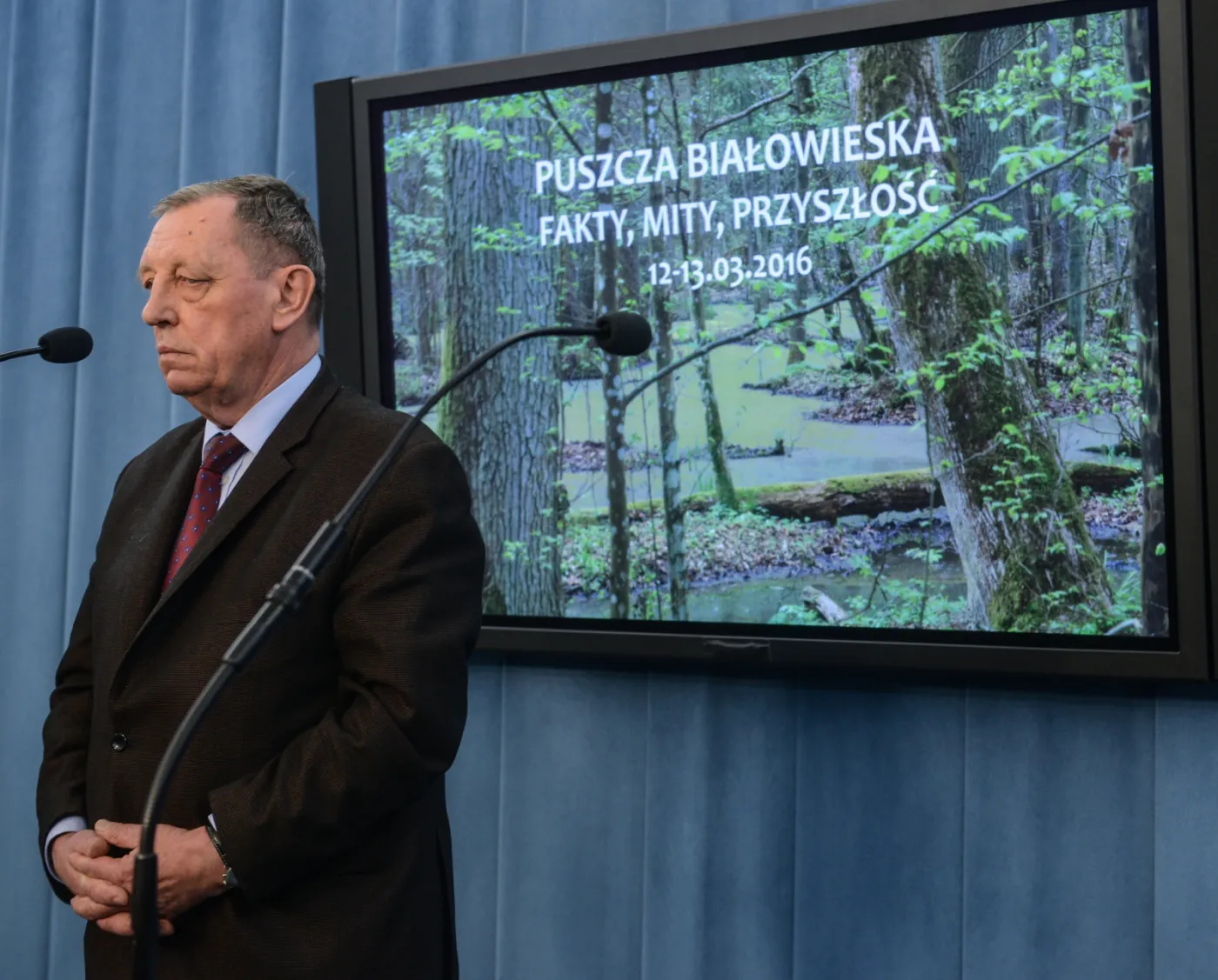 Szyszko: W niedzielę podejmę decyzję ws. przyszłości Puszczy Białowieskiej