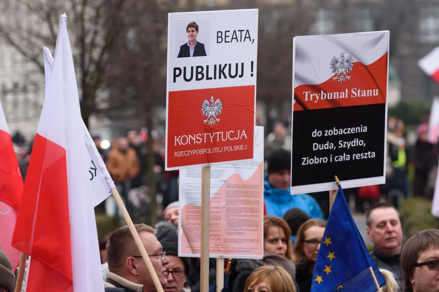 2487151-manifestacja-w-obronie-demokracji.jpg
