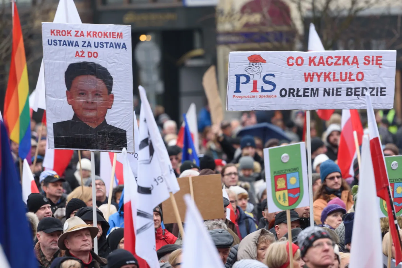2487167-manifestacja-w-obronie-demokracji.jpg
