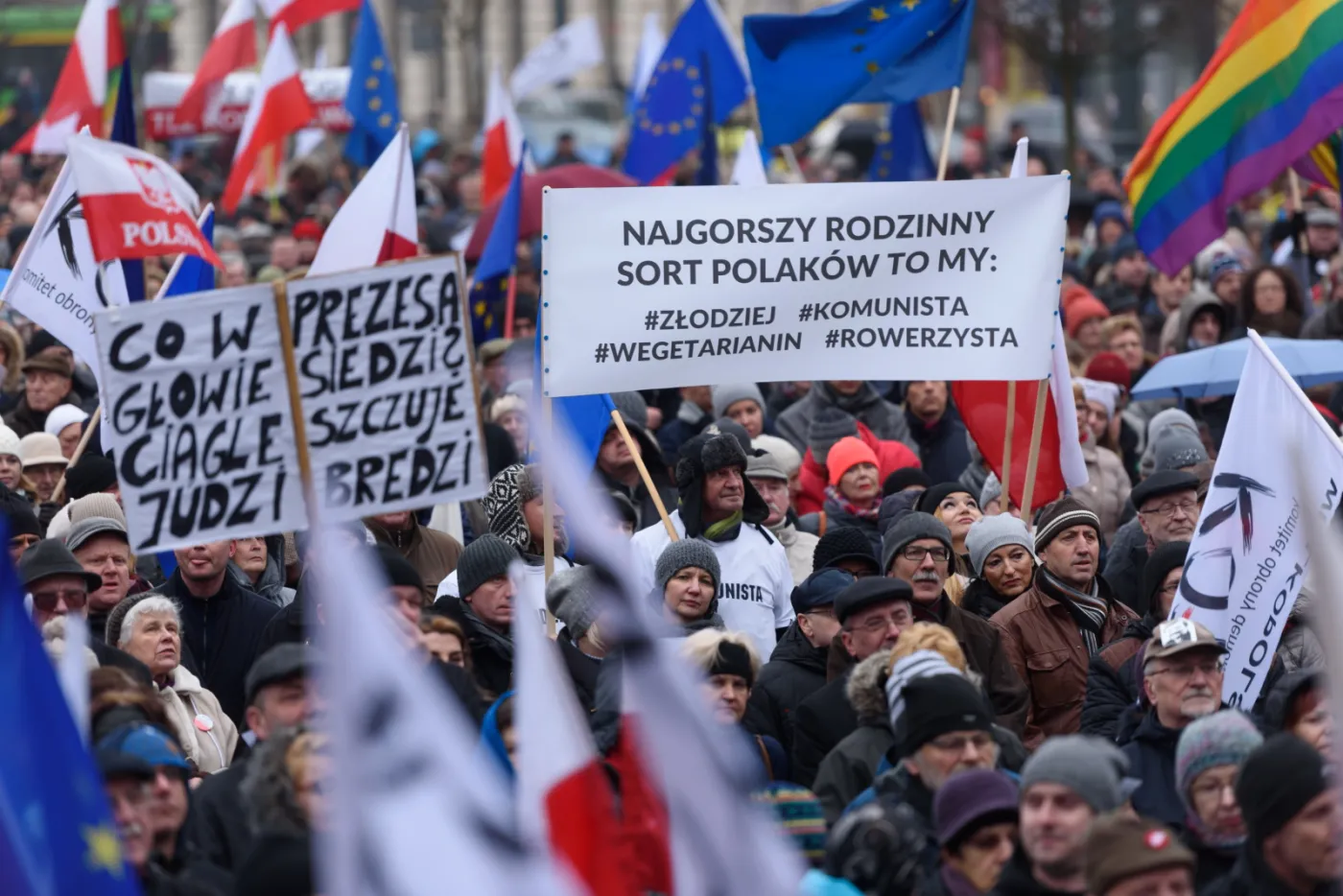 2487215-manifestacja-w-obronie-demokracji.jpg