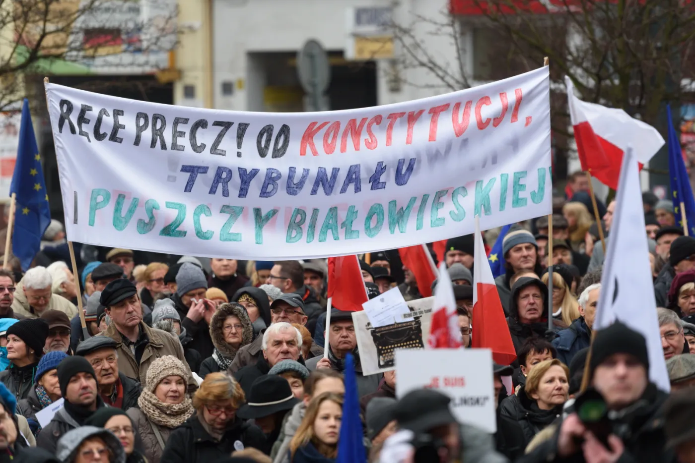 2487231-manifestacja-w-obronie-demokracji.jpg