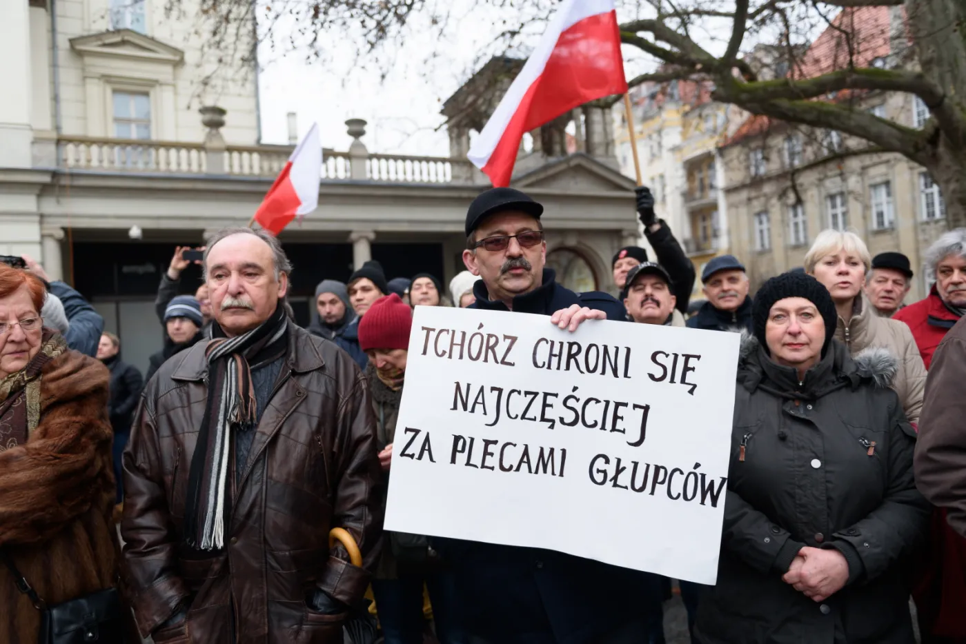 2487247-manifestacja-w-obronie-demokracji.jpg