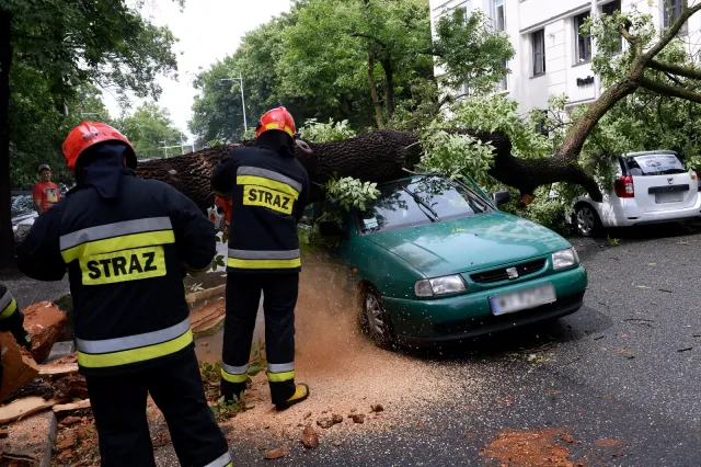 Gwałtowna burza nad Warszawą: Powalone drzewa, jedna osoba ranna. Zakłócenia w kursowaniu pociągów