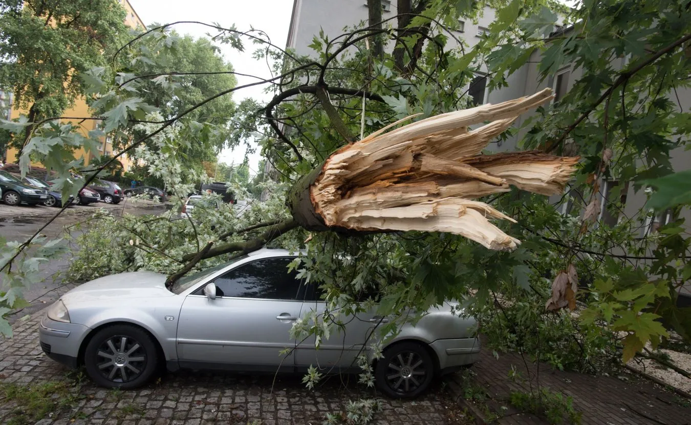 Skutki nawałnicy, która przeszła nad Łodzią